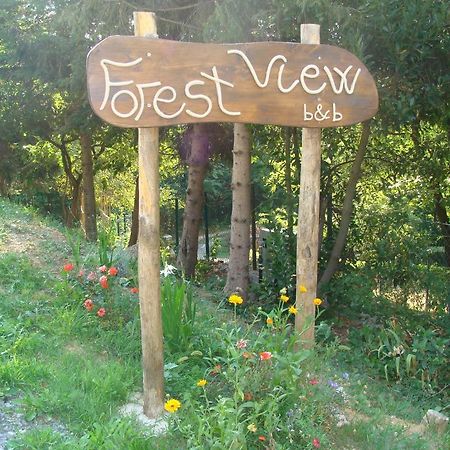 Forest View B&B Gavi Eksteriør bilde