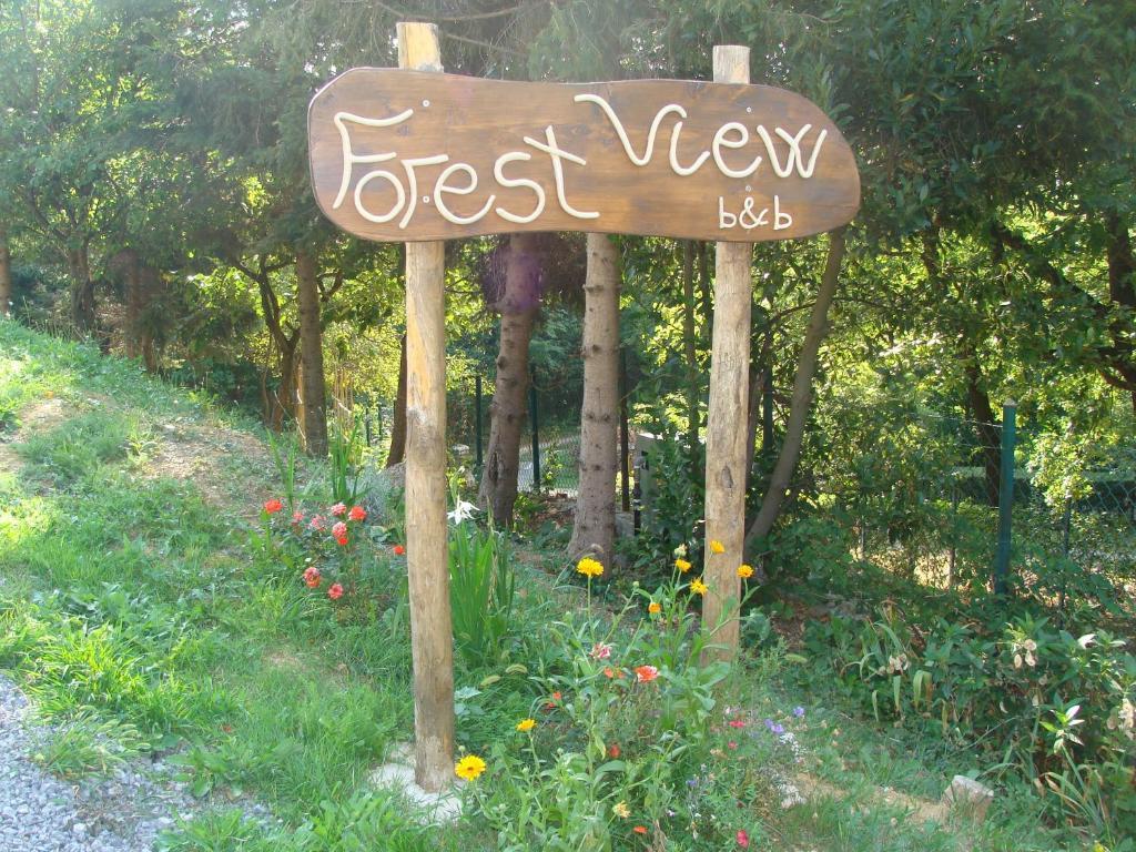Forest View B&B Gavi Eksteriør bilde